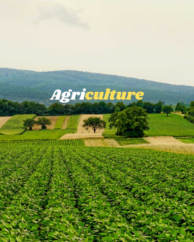 rudransh exim agriculture devision