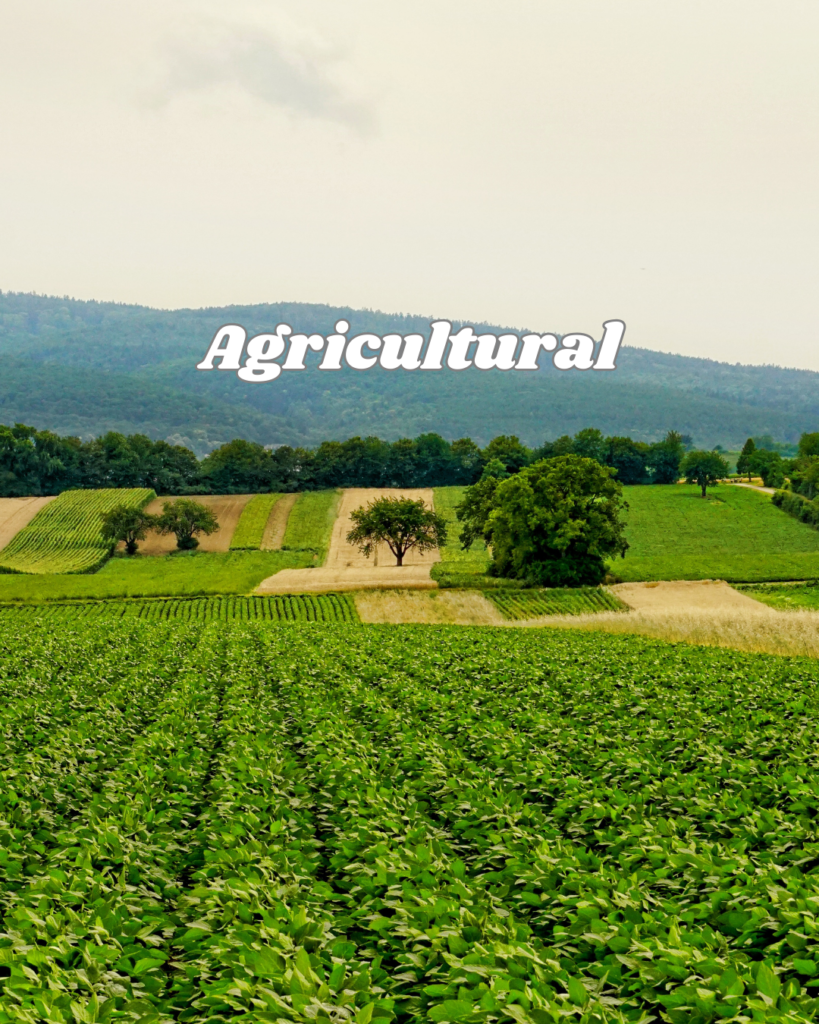 rudransh exim agricultural division